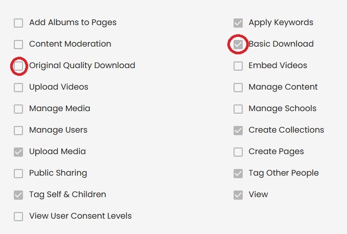 DOWNLOADING MEDIA IN VIDIGAMI