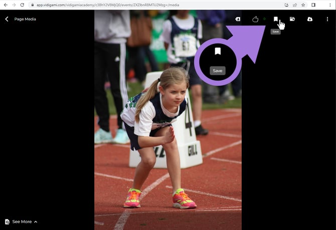 vidigami_SAVE_icon_filled